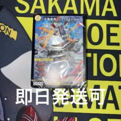 2026年最新】ドキドキつよいデッキ25の人気アイテム - メルカリ
