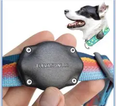 Item thumbnail for item 0b086fc3-f83b-420c-a3b9-6b10579800b9