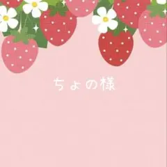ご専用　ちょの様