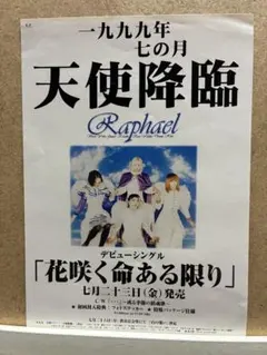 V系★Raphael【集合】lost graduation★ポストカード★4点 V系☆Raphael【集合】lost graduation☆ポストカード☆4点