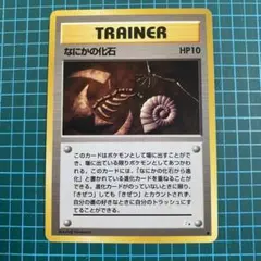 2025年最新】なにかの化石の人気アイテム - メルカリ