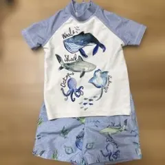 【miさま専用】NEXT ベビー水着 男の子 海の生物デザイン