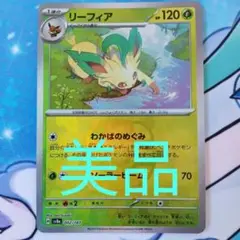 2025年最新】テラスタルフェス マスターボール リーフィアの人気