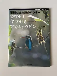 華麗なる水辺のハンターカワセミ・ヤマセミ・アカショウビン