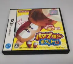 パワプロクンポケット13 パワポケ 説明書あり