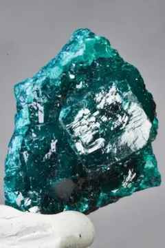 2025年最新】ダイオプテーズの人気アイテム - メルカリ