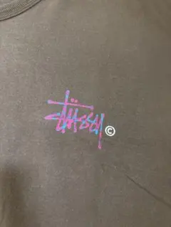 Stussy ノースリーブ Tシャツ ブラウン