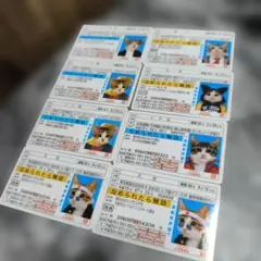 Item thumbnail for item 93c2bb67-e5eb-48f8-95c9-13cf847f9756