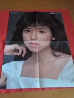 吉永小百合 特大ポスター 鶴ヶ城さくら編◇大人の休日倶楽部BO特大