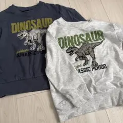 恐竜　薄手トレーナーセット