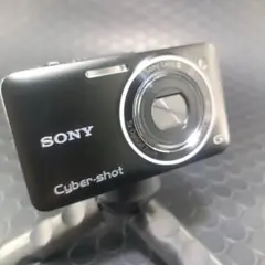 2025年最新】sony cyber-shot dsc-wx5の人気アイテム - メルカリ