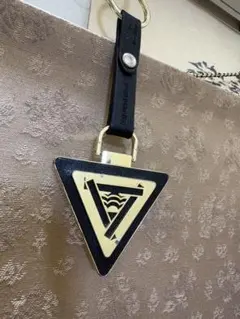 Item thumbnail for item 61a01d4f-e36a-40b9-889b-cad077dd331f