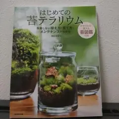 はじめての苔テラリウム