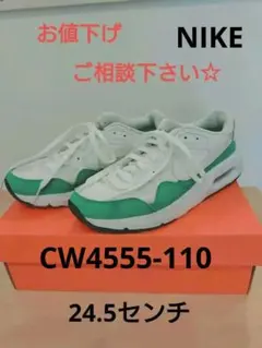 Nike Air Max CW4555-110　ナイキ　NIKE　24.5センチ