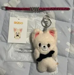 straykids SKZOOフォクシニー アイエントレカ付き