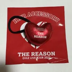 reason ヘアゴム