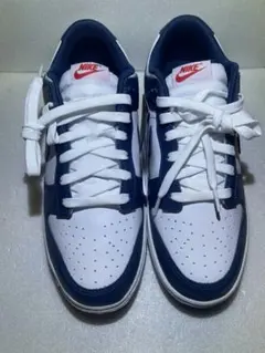 ナイキ ダンク ロー レトロ バレリアンブルー28.0cm