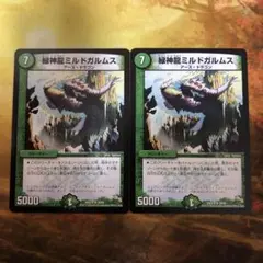デュエルマスターズ 緑神龍ミルドガルムス 4枚 - メルカリ