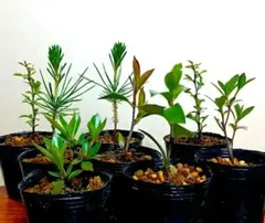 マモル様 リクエスト 2点 まとめ商品