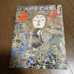 2026年最新】天野喜孝全版画集の人気アイテム - メルカリ