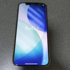 Apple iPhone 12pro 本体 充電ケーブル付き