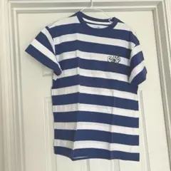 SANTA CRUZ ボーダー Tシャツ 半袖 スクリーミングハンド　トップス