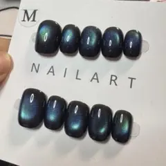 【セツ】マグネット　ネイルチップ　付け爪(8206)