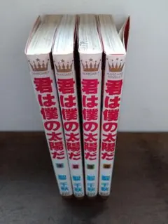 君は僕の太陽だ 全4巻セット