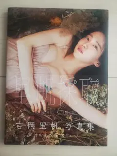 吉岡里帆 タレント写真集