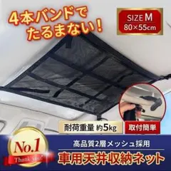 Item thumbnail for item 4758559f-619c-4aed-a1fd-7598f46f6097