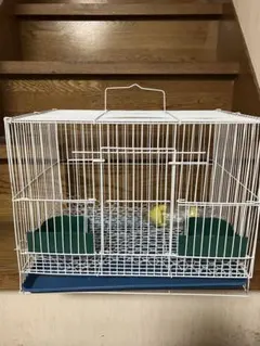 기니피그와 같은 작은 동물을 위한 미디엄 버드 케이지 화이트 메탈 케이지