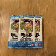 Item thumbnail for item dd0a2502-60f4-4177-89e1-fd09cdcdc2d4