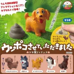 ウンポコさせていただきました ミニチュアダックス