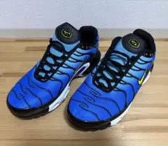 ナイキ AIR MAX PLUS TN フォトブルーxスピードイエローxブラック 