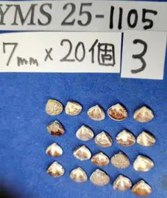 Item thumbnail for item 02dd7734-76ff-4818-ac85-97db261a5054