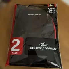 グンゼ　BODY Wild L