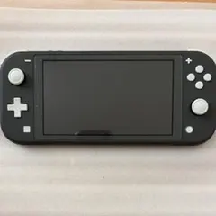 d*9様 d*2様 #9884 Nintendo Switch Lite 本体 - メルカリ