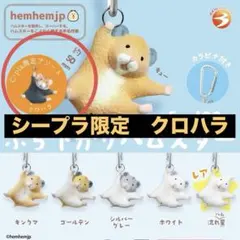 まる様 リクエスト 2点 まとめ商品