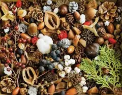 木の実セット リース材料詰め合わせ095