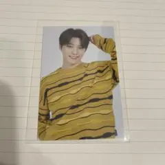 SEVENTEEN セブチ ディノ トレカ