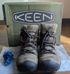 Item thumbnail for item 6c56ead4-3c9b-4e59-844b-4643e068511c