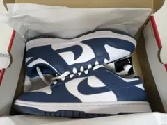 NIKE DUNK LOW RETRO VALERIAN BLUE　28cm