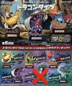 【匿名配送】ドラゴンタイプ ボックス