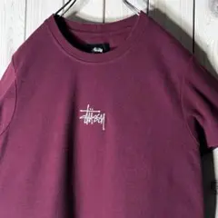 美品 ステューシー ショーンフォント 刺繍ロゴ ニットT レディース.