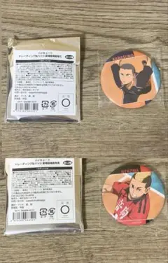 ハイキュー!!トレーディング缶バッジ 劇場版場面写真 田中龍之介 山本猛虎