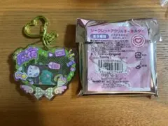 サンリオ原宿店 限定 シークレットアクリルキーホルダー　ポチャッコ