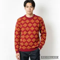 Item thumbnail for item 3c41bc8e-361c-40ce-8a26-9eb89674b4a8