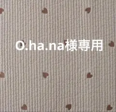 O.ha.na様専用　ヌビ　ポーチ
