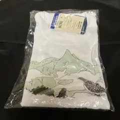 【新品・未開封】mont-bell 長野限定Tシャツ 男女兼用 S タグ付