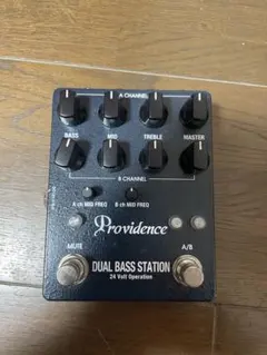 Providence DUAL BASS STATION 本体のサムネイル